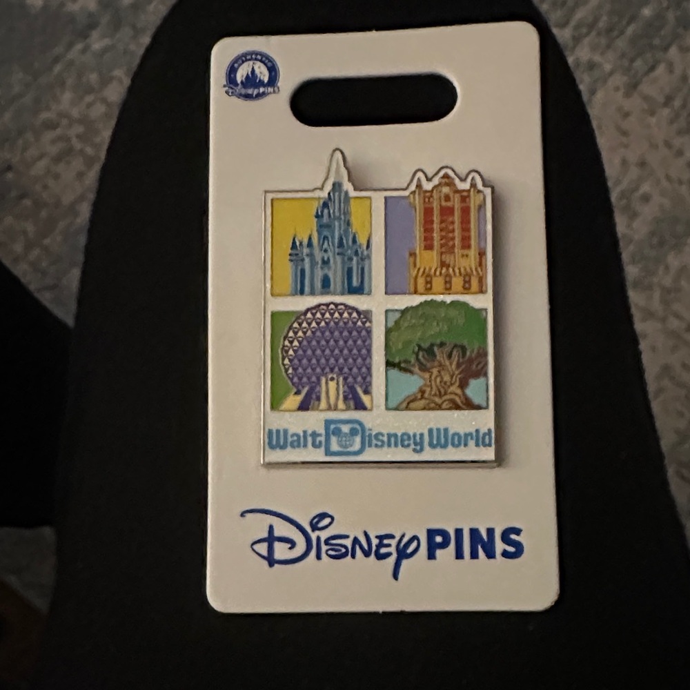 Disney Multicolor Theme Park Pin